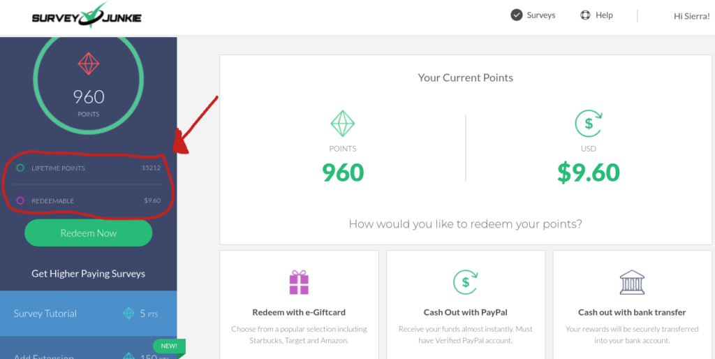 Survey junkie money photo proof