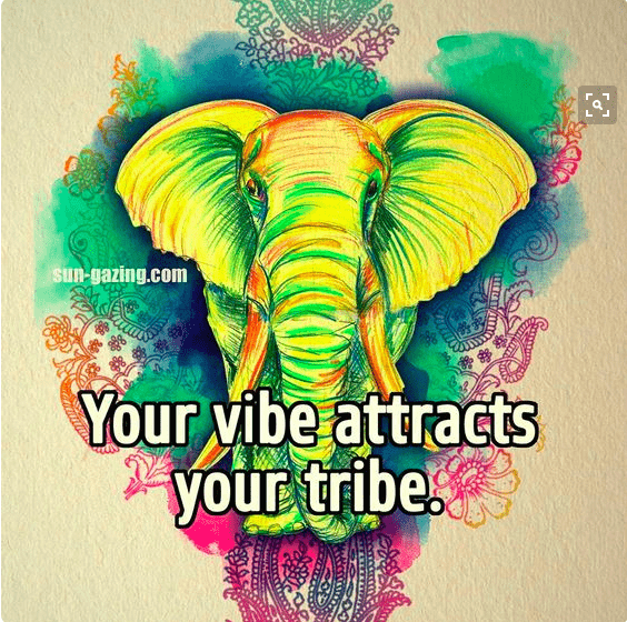 Money Saving, elephant, elephant meme, your vibe attracts your tribe quote meme