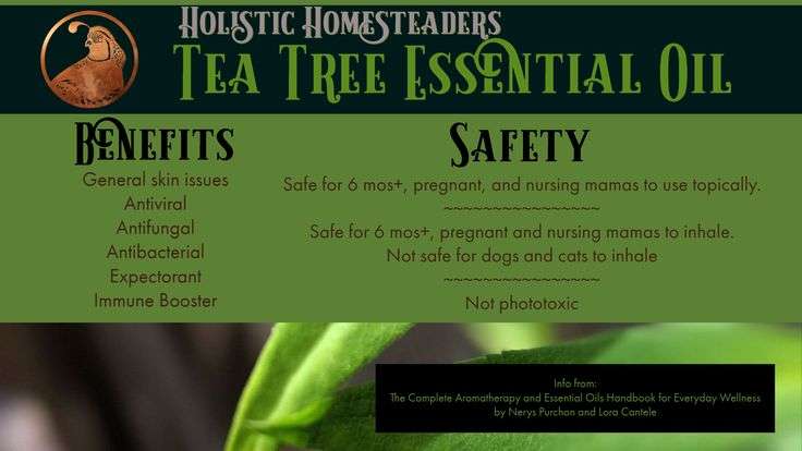 Tea Tree Oil Benefits and Safety