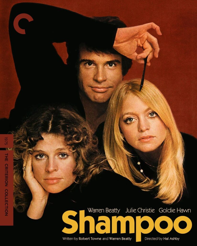 The Best Hair Movies On TV, Shampoo