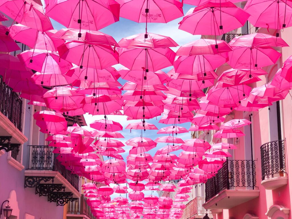 hanged pink umbrellas