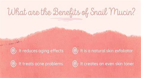 Snail mucin, snail secretion filtrate