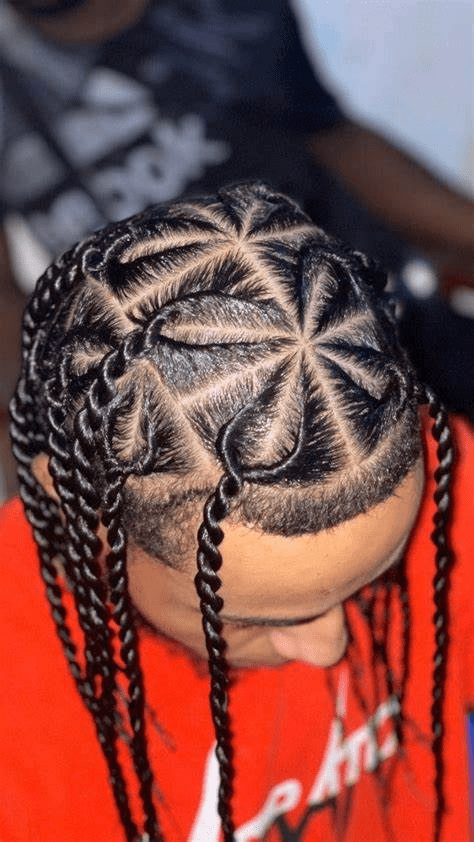 two strand twist hairstyle