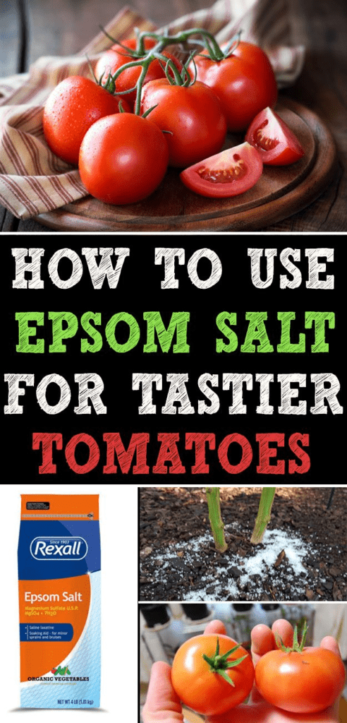  Food Grade Epsom Salt